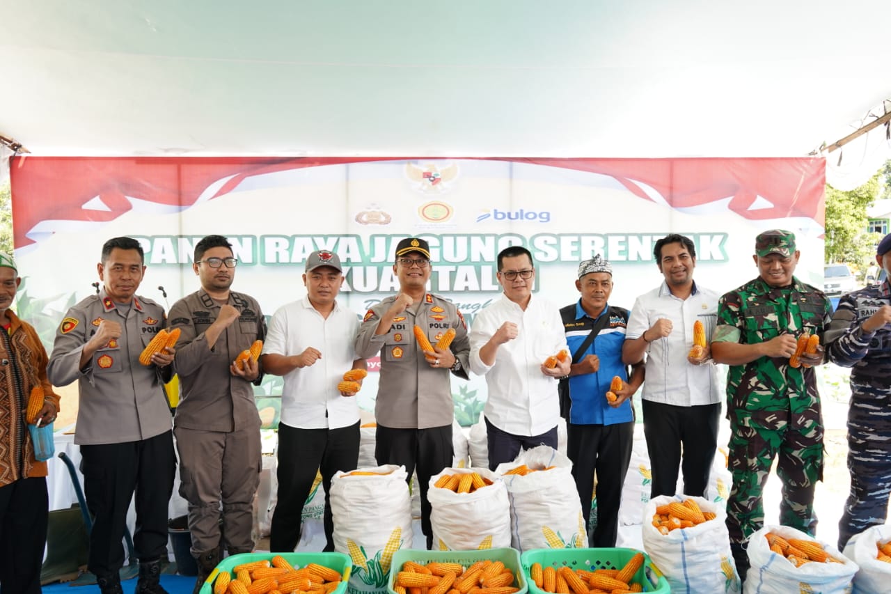 PIMPINAN DPRD KABUPATEN KAYONG UTARA HADIRI PANEN RAYA JAGUNG SERENTAK KUARTAL II